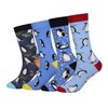 Wish Island - Calcetines de algodón para hombre, 5 unidades,