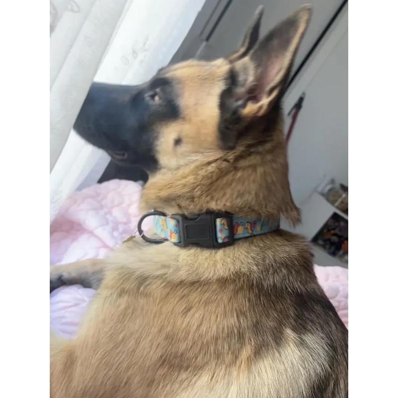 Adjustable Soft Polyester Dog Collar: Featuring a Cute and Adorable