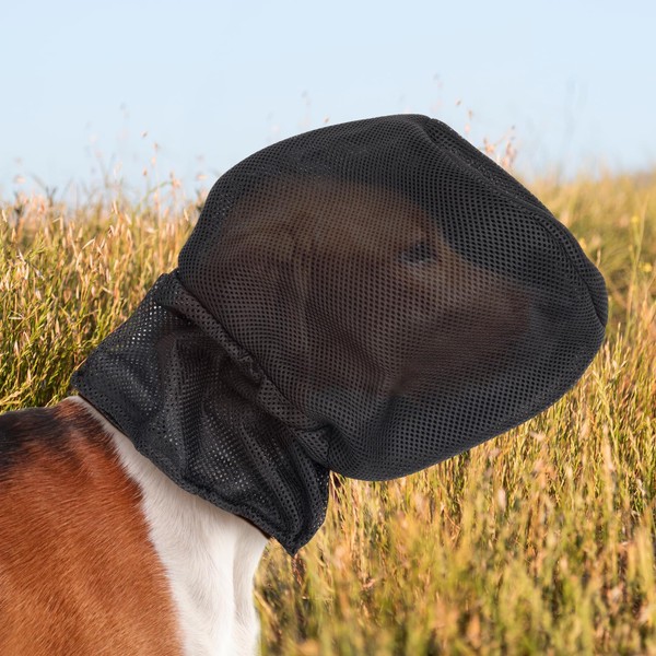 Foxtail Mask for Dogs (S), Field Net Guard Dog Foxtail