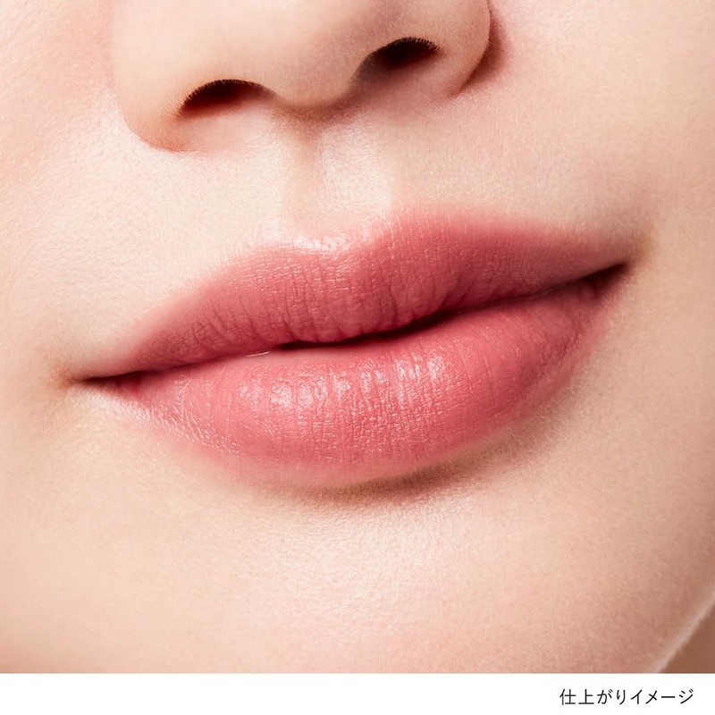 Kanebo Rouge Star Breeze B102 [Lipstick]