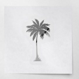 Transparent Decal Stickers of Palm Tree (Metallic Silver) Premium Waterproof Vinyl Decal Stickers for Laptop Phone Accessory Helmet Car Window Mug Tuber Cup Door Wall Decoration ANDSKUSg11976SI