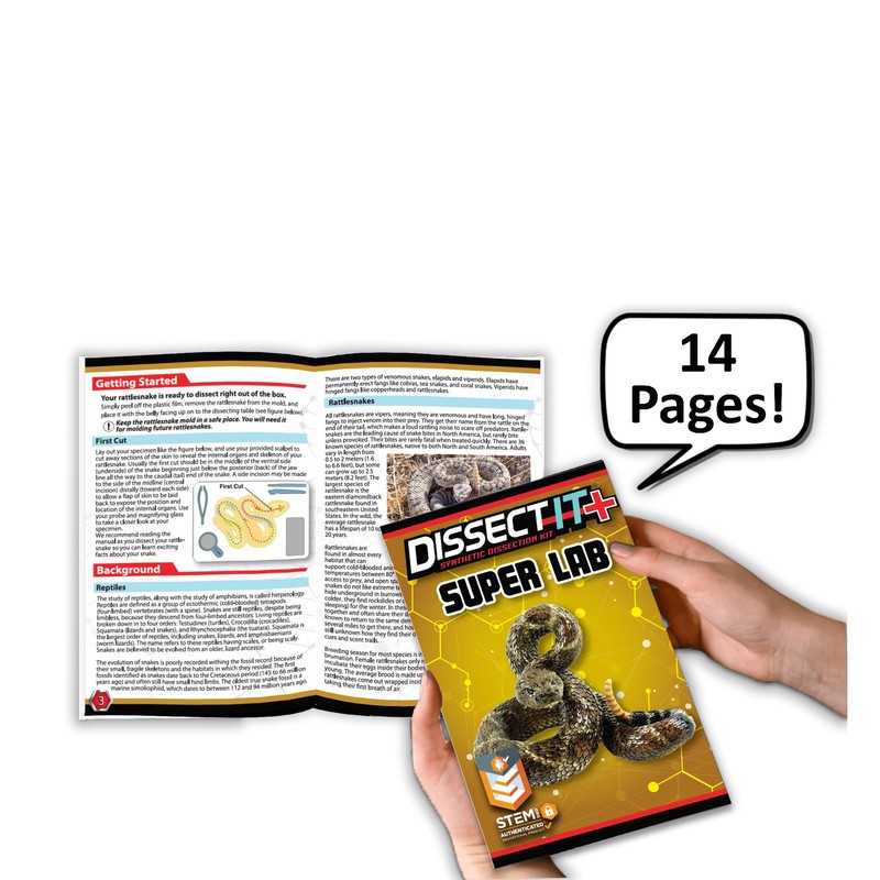 Dissect It - Rattlesnake Super Lab