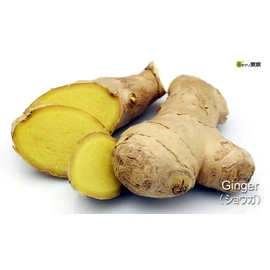 eclectic ginger ginger 395mg x 135 capsules e114