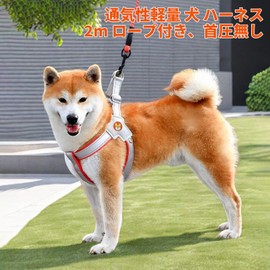 Pokmill Dog Harness 6.6 ft (2 m) Lead Set for Small/Medium-Sized Dogs, Breathable, Adjustable, Easy to Put On and Take Off, Night Reflective Material, Stylish, Safe, Cute, Easy Walk (S/M/L/XL)