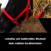 Pferdelinis Halter for warmblood, thoroughbred, cold-blood, pony - stable halter,