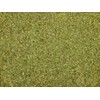 Gorilla Food Co. Oregano Dried - 400g