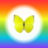 Sugar Robot Edible Butterflies for Cake Decorating- Large Size Butterfly