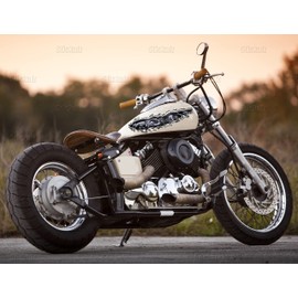 Dragons Crotch Rocket Full Color Decal, Bike Side Graphics, Dragon Motorcycle Vinyl, Dragons Bike Side Graphics (12x28)