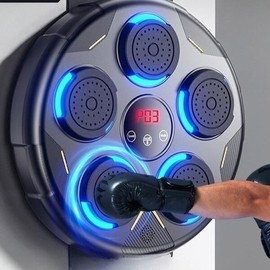 Smart Home Punch Adult Black Wall Mount Adult Black Height Adjustable Punch Machine Single Type Target / 스마트 홈펀치 성인용 흑청 벽걸이 성인 블랙 높이조절 펀치기계 단일형 대상
