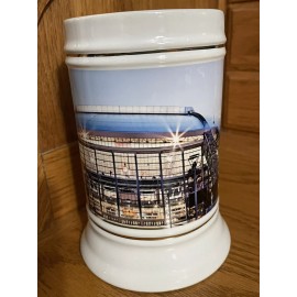 Super Bowl XLV 45 Beer Stein Green Bay Packers Pittsburgh Steelers Football New