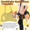 Dog Carrier: Dog Carrier - Full Body Leader with Handle