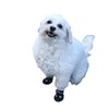 WALKABOUT MuckBusters High-Performance All-Terrain Dog Boots | Lightweight, Durable, Supportive,