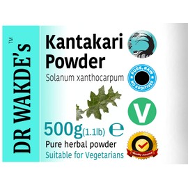 DR WAKDE'S Kantakari Powder (Solanum xanthocarpum) - 500g (1.1lb) | Pure, Raw & Dried Powder | Natural Aroma and Freshness | Fine Powder | Vegan | Premium Grade | Nothing Added, Nothing Removed