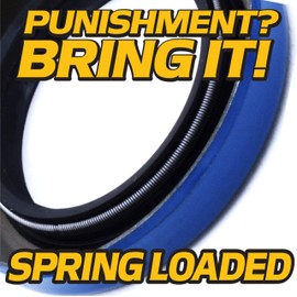 HD Switch Fork Caster Spindle Rebuild Kit Lower Seal & Bearings Replaces Great Dane Chariot & LX