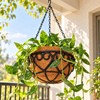 Coconut Brown Hanging Planter Basket for Indoor & Outdoor Plants