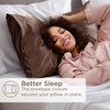 Bedsure Satin Pillowcase for Hair and Skin Queen - Beaver