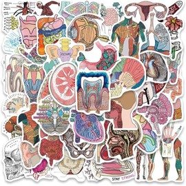 50 Medical Anatomy Stickers Vinyl Waterproof Aesthetical Scrapbooking Sticker Pack for Laptop, Girls, Girls, Adults (Human Organ)