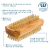 Redecker Natural Pig Bristle Nail Brush with Waxed Olive Wood