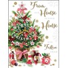Jonny Javelin Our House to Your House Christmas Card -