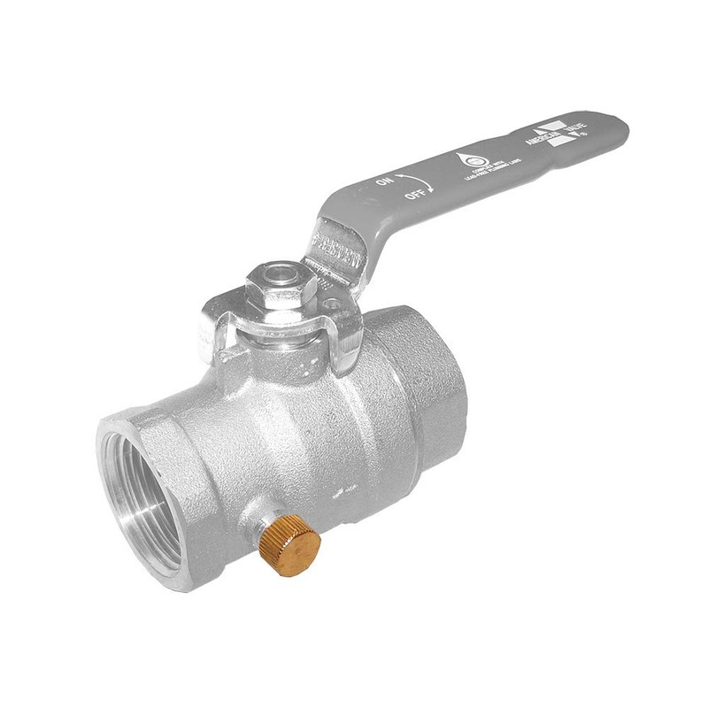 American Valve DRAIN CAPS Drain Cap, 2 Pack