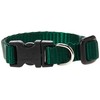 LupinePet Basics 1/2" Green 8-12" Adjustable Collar for Small Dogs