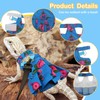 Lizard Harness Dress and Leash, Adjustable Hamster Ferret Harness and