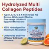 Terranics Multi Collagen Peptides Powder, Type I II III V