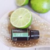 Nature's Fusions Lime, 100% Pure and Natural Essential Oils, Undiluted,