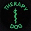Glow In Dark Service Dog EMS Medic Paramedic Star of