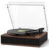 DANFI Audio Record Player Turntable with Full-Sized Platter & Built-in