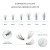 Oreola Cluster Lashes Extensions 10D 20D Individual Eyelashes 0.1D Curl
