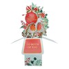 Clever Cubes Pop Up Both of You Robins Merry Christmas