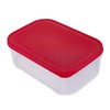 Kigima Rectangular Food Storage Containers 0.5 Litre (510 ml) Set