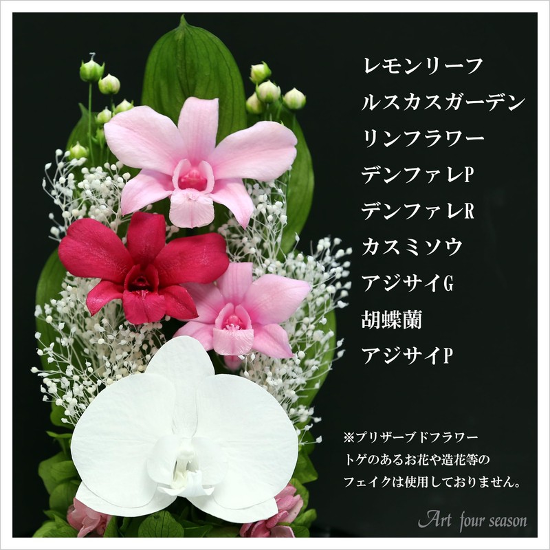 Art Four Seasons Phalaenopsis Denfare Dome Pink Preserved Flowers
