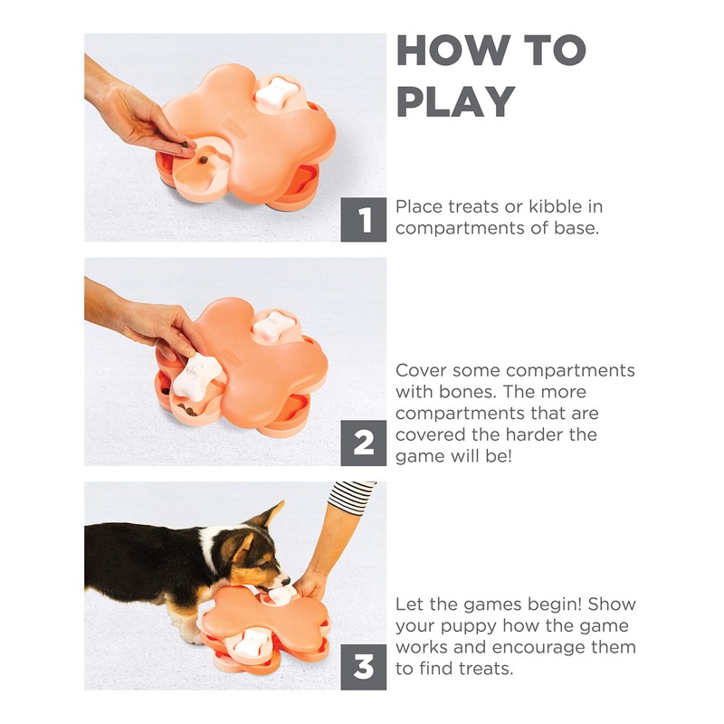 Nina Ottosson By Outward Hound - Interactive Puzzle Game Dog