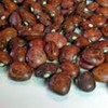 Bean Seed, Commodore Bush, Heirloom, 100+ Seeds, Non GMO, Green