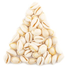 TheBeadChest Beige Drilled Cowrie Shells Large 13mm White Unusual 1