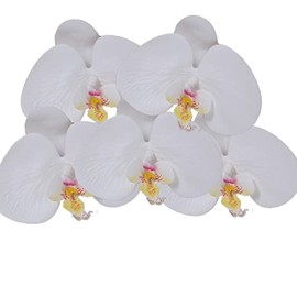 "kamimo" ac1107 White Innocent Japanese Marriage Luxury Phalaenopsis 5 Wheel Headdress Front Shot Phalaenopsis Hair Ornament Kimono Furisode Hakama Wedding Hair Ornament Set