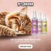 PET AROMA Natural All-Day Perfume Spay For Pets MANGO 4