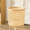 Woven Flower Pot Faux Rattan Planter High Living Room Floor