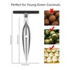 KCKHFA Coconut Opener Tool Set for Green Fresh Coconut, Manual