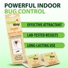 Greenway Silverfish and Spider Traps, Non-Toxic Indoor with High-Strength Glue