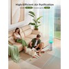 GoveeLife Air Purifiers for Home, Smart Air Purifier for Large