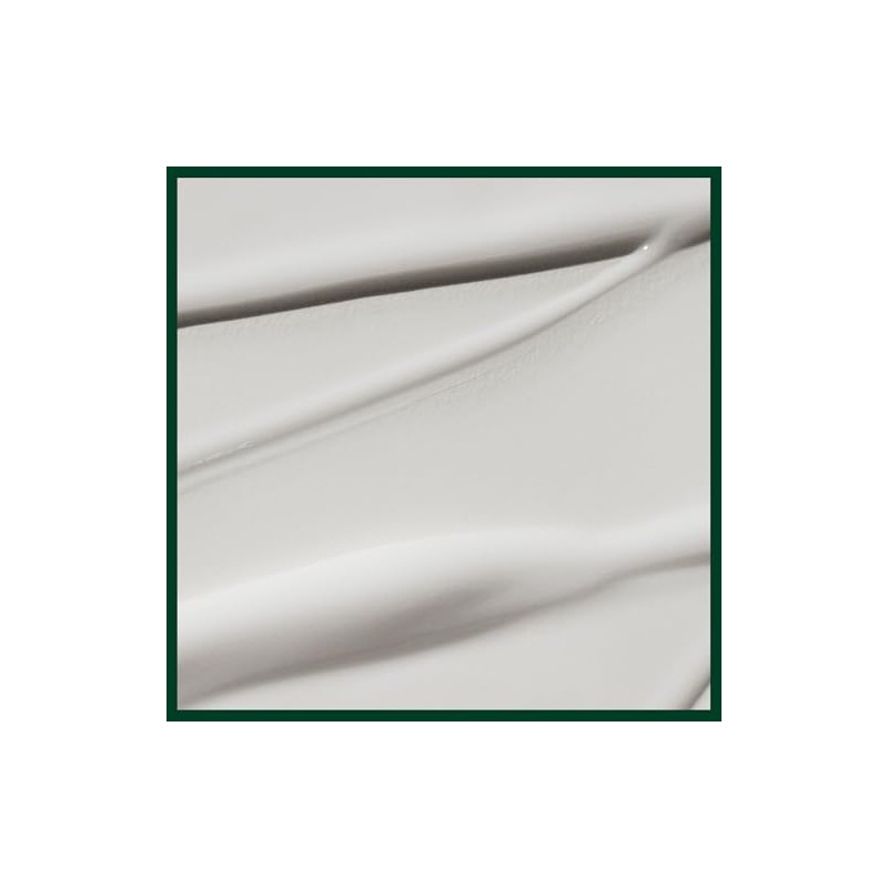 Aveda Botanical Repair Strengthening Leave-in treatment