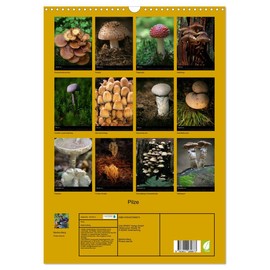 Mushrooms (Wall Calendar 2025 DIN A3 High), CALVENDO Monthly Calendar