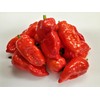 JD Piranha Pepper Seeds