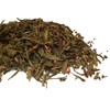 Green Tea Taster Sample Bags 8 Packs of Loose Leaf