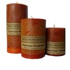Harvest Pumpkin Spice Cinnamon Clove Scented Pillar Candle Set (3