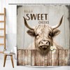 LKFBSC Highland Cattle Cow Bull Shower Curtains,Farmhouse Animal Rustic Country