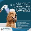 MineralStream LED Ionic Shower Head with Hose | High Pressure